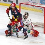 Photo hockey match Grenoble  - Mulhouse le 28/01/2021
