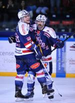 Photo hockey match Grenoble  - Mulhouse le 02/01/2013