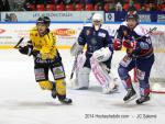 Photo hockey match Grenoble  - Rouen le 01/02/2014