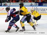 Photo hockey match Grenoble  - Rouen le 01/02/2014