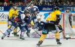 Photo hockey match Grenoble  - Rouen le 01/02/2014