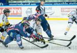 Photo hockey match Grenoble  - Rouen le 24/10/2014