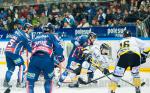 Photo hockey match Grenoble  - Rouen le 24/10/2014