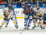 Photo hockey match Grenoble  - Rouen le 24/10/2014