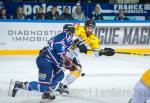 Photo hockey match Grenoble  - Rouen le 17/10/2015