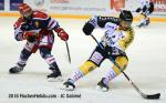 Photo hockey match Grenoble  - Rouen le 27/09/2016