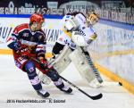 Photo hockey match Grenoble  - Rouen le 27/09/2016