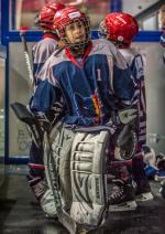 Photo hockey match Grenoble  - Rouen le 11/12/2016