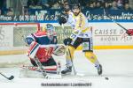 Photo hockey match Grenoble  - Rouen le 22/03/2017