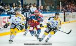 Photo hockey match Grenoble  - Rouen le 26/03/2017