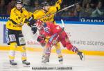 Photo hockey match Grenoble  - Rouen le 24/03/2018