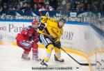 Photo hockey match Grenoble  - Rouen le 24/03/2018