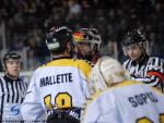 Photo hockey match Grenoble  - Rouen le 14/03/2009