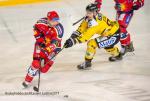 Photo hockey match Grenoble  - Rouen le 03/04/2019