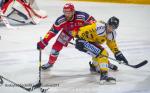 Photo hockey match Grenoble  - Rouen le 03/04/2019