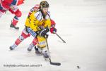 Photo hockey match Grenoble  - Rouen le 03/04/2019