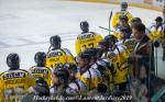 Photo hockey match Grenoble  - Rouen le 03/04/2019