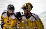 Photo hockey match Grenoble  - Rouen le 03/04/2019