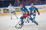 Photo hockey match Grenoble  - Rouen le 22/11/2019