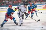 Photo hockey match Grenoble  - Rouen le 22/11/2019