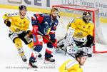 Photo hockey match Grenoble  - Rouen le 08/12/2022