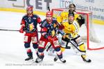 Photo hockey match Grenoble  - Rouen le 08/12/2022