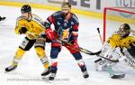 Photo hockey match Grenoble  - Rouen le 08/12/2022