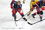 Photo hockey match Grenoble  - Rouen le 08/12/2022