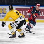 Photo hockey match Grenoble  - Rouen le 04/04/2023