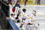 Photo hockey match Grenoble  - Rouen le 01/03/2024