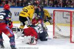 Photo hockey match Grenoble  - Rouen le 01/03/2024