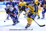 Photo hockey match Grenoble  - Rouen le 27/01/2011