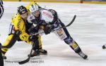 Photo hockey match Grenoble  - Rouen le 30/03/2012