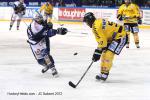 Photo hockey match Grenoble  - Rouen le 31/03/2012