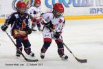 Photo hockey match Grenoble  - Rouen le 31/03/2012