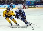 Photo hockey match Grenoble  - Rouen le 31/03/2012