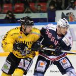 Photo hockey match Grenoble  - Rouen le 29/01/2013