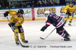 Photo hockey match Grenoble  - Rouen le 29/01/2013