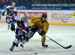 Photo hockey match Grenoble  - Rouen le 29/01/2013