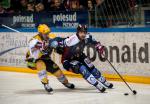 Photo hockey match Grenoble  - Strasbourg  le 19/10/2013