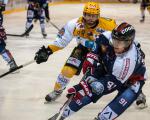 Photo hockey match Grenoble  - Strasbourg  le 19/10/2013