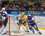 Photo hockey match Grenoble  - Strasbourg  le 19/10/2013