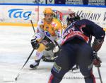 Photo hockey match Grenoble  - Strasbourg  le 14/11/2014