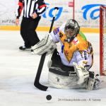 Photo hockey match Grenoble  - Strasbourg  le 14/11/2014