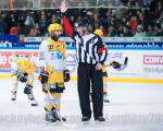 Photo hockey match Grenoble  - Strasbourg  le 14/11/2014
