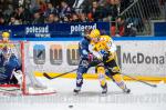 Photo hockey match Grenoble  - Strasbourg  le 14/11/2014