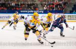 Photo hockey match Grenoble  - Strasbourg  le 14/11/2014