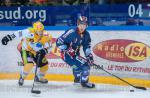Photo hockey match Grenoble  - Strasbourg  le 14/11/2014