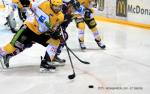 Photo hockey match Grenoble  - Strasbourg  le 19/09/2015