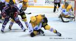 Photo hockey match Grenoble  - Strasbourg  le 19/09/2015